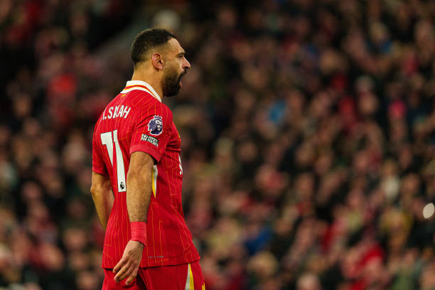 仅获得了市 仅获得了市