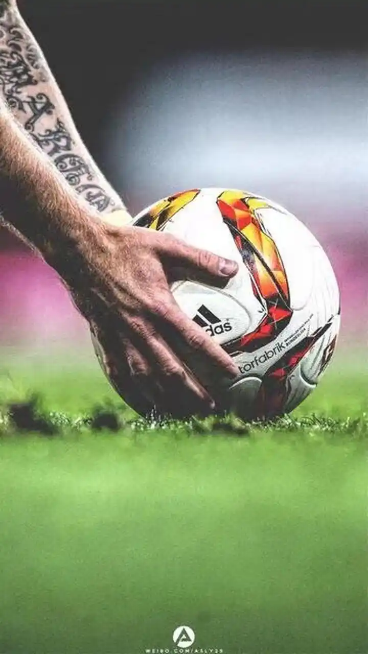 的持续投入 的持续投入